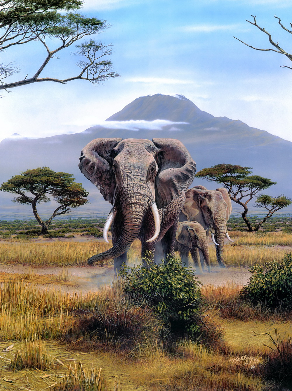 Слон пейзаж